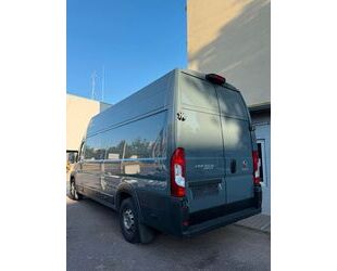 Fiat Ducato Gebrauchtwagen