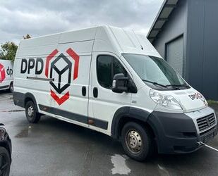 Fiat Ducato Gebrauchtwagen