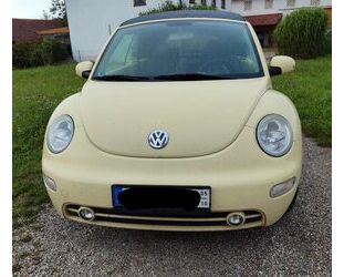 VW Beetle Gebrauchtwagen