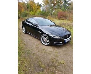 Jaguar XE Gebrauchtwagen