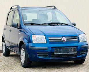 Fiat Panda Gebrauchtwagen