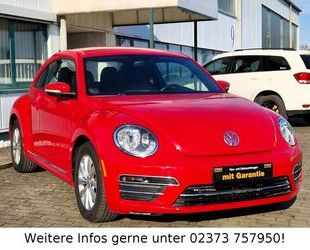 VW Beetle Gebrauchtwagen