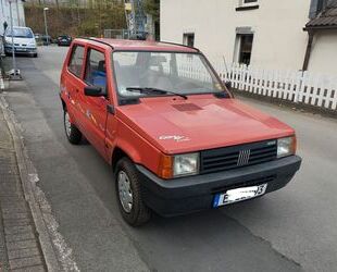Fiat Panda Gebrauchtwagen