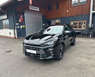 Cupra Terramar Gebrauchtwagen