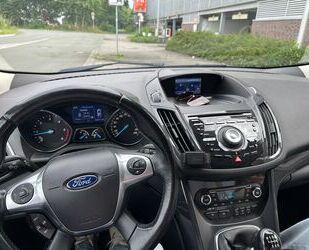 Ford Kuga Gebrauchtwagen