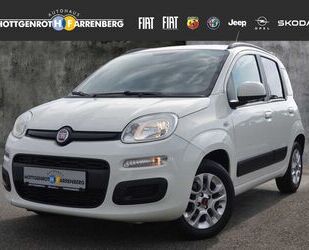 Fiat Panda Gebrauchtwagen
