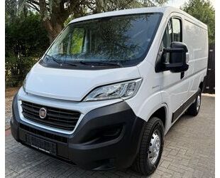 Fiat Ducato Gebrauchtwagen