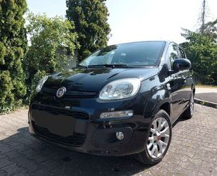 Fiat New Panda Gebrauchtwagen