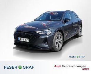 Audi Q8 e-tron Gebrauchtwagen