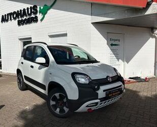 Fiat Panda Gebrauchtwagen