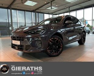 Cupra Terramar Gebrauchtwagen