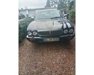 Jaguar Daimler Gebrauchtwagen