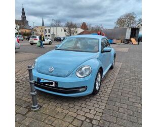 VW Beetle Gebrauchtwagen