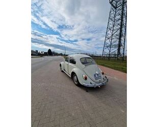 VW Käfer Gebrauchtwagen