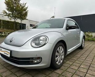 VW Beetle Gebrauchtwagen
