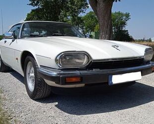 Jaguar XJS Gebrauchtwagen