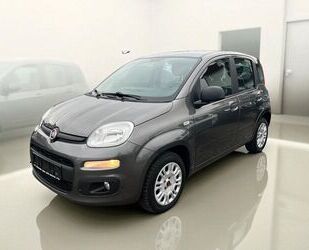 Fiat Panda Gebrauchtwagen