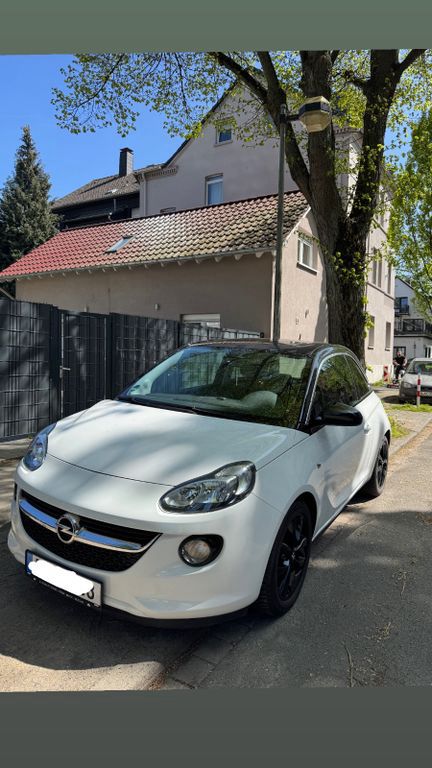 Bild 1