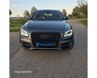 Audi Q5 Gebrauchtwagen