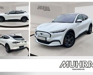 Ford Mustang Mach-E Gebrauchtwagen