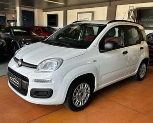 Fiat Panda Gebrauchtwagen