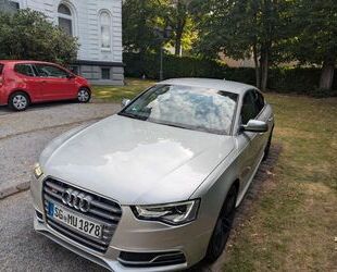 Audi S5 Gebrauchtwagen