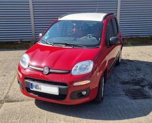 Fiat Panda Gebrauchtwagen