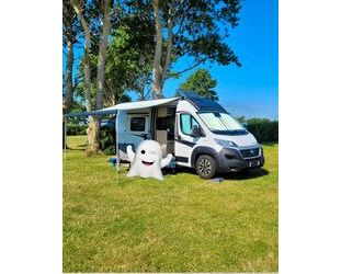 Fiat Ducato Gebrauchtwagen