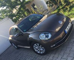 VW Beetle Gebrauchtwagen