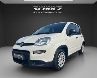 Fiat Panda Gebrauchtwagen