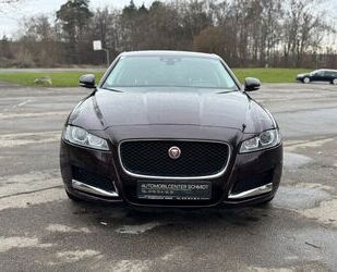 Jaguar XF Gebrauchtwagen