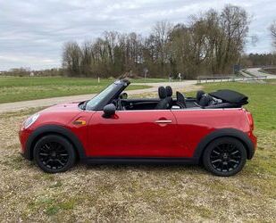 Mini One Cabrio Gebrauchtwagen