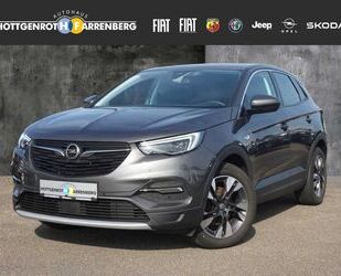Opel Grandland (X) Gebrauchtwagen