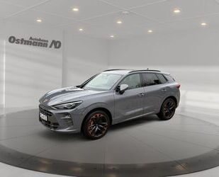 Cupra Terramar Gebrauchtwagen