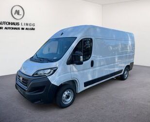 Fiat Ducato Gebrauchtwagen