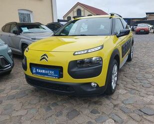 Citroen C4 Cactus Gebrauchtwagen