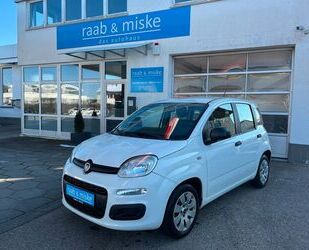 Fiat Panda Gebrauchtwagen
