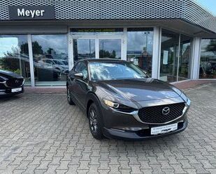 Mazda CX-30 Gebrauchtwagen