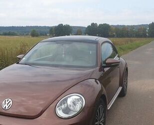 VW Beetle Gebrauchtwagen