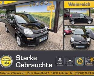 Fiat Panda Gebrauchtwagen