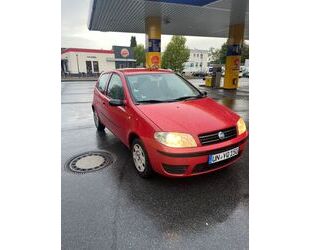 Fiat Punto Gebrauchtwagen