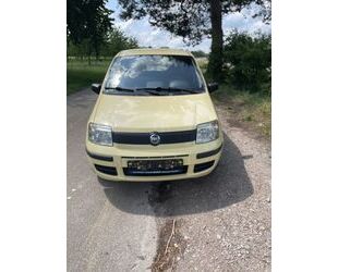 Fiat Panda Gebrauchtwagen