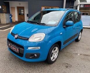 Fiat Panda Gebrauchtwagen