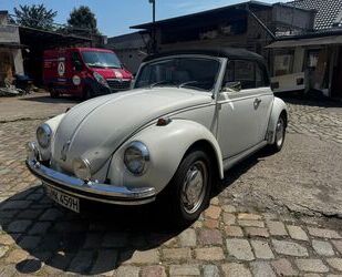 VW Käfer Gebrauchtwagen