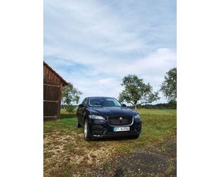 Jaguar F-Pace Gebrauchtwagen