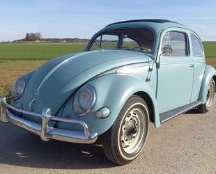 VW Käfer Gebrauchtwagen