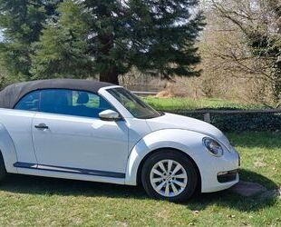 VW New Beetle Gebrauchtwagen