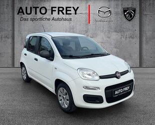 Fiat Panda Gebrauchtwagen