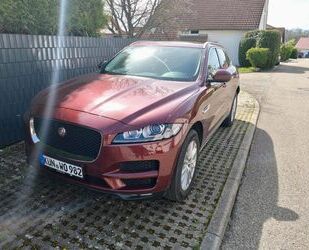 Jaguar F-Pace Gebrauchtwagen