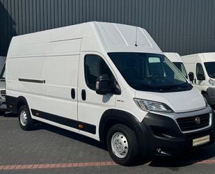 Fiat Ducato Gebrauchtwagen